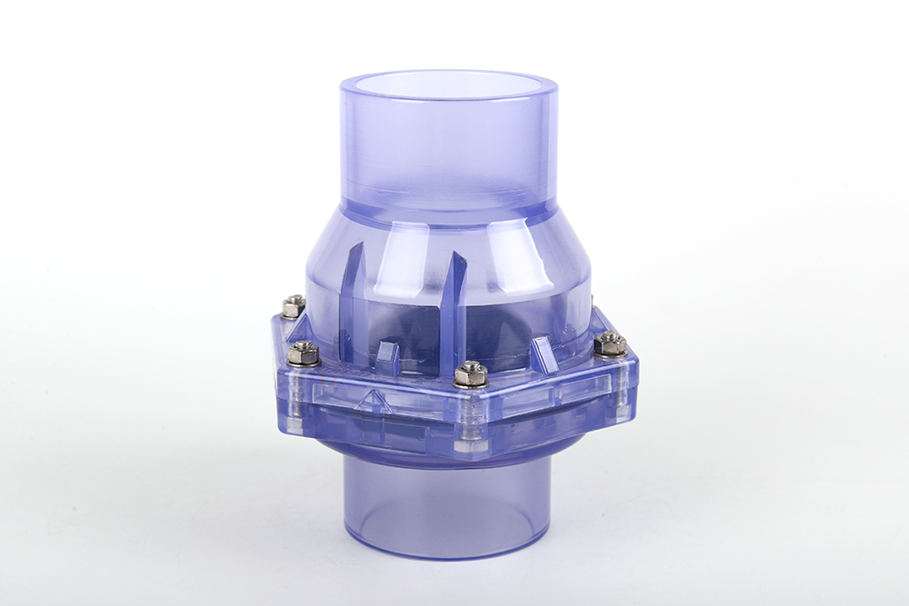 钦南透明翻板式止回阀